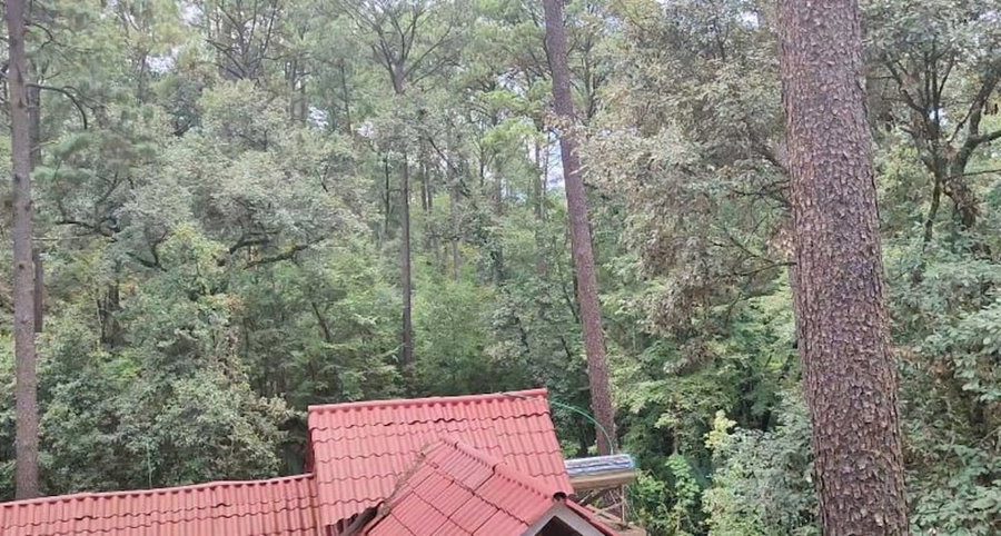 Encino House Hotel Boutique, Valle de Bravo, Mexico