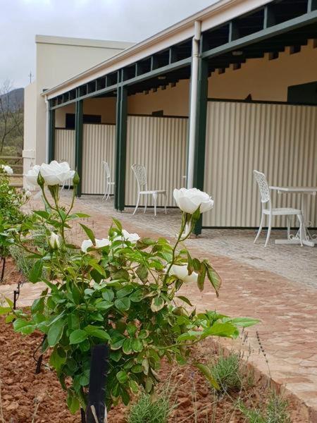De Rustica Stable Stay, De Rust, South Africa