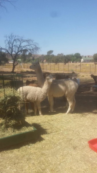 Smithfield House, Smithfield, South Africa
