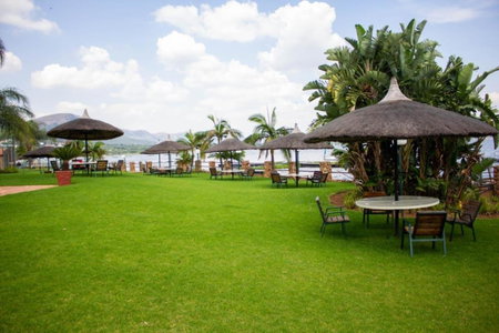 Kosmos, Hartbeespoort, Hartbeespoort, South Africa