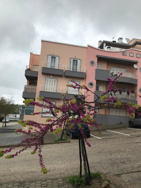 Lagos Royal Rooms and Suites, Lagos, Portugal