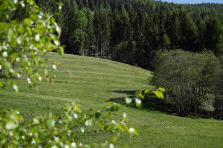 Landhaus Holzer, Sankt Margarethen im Lungau, Austria