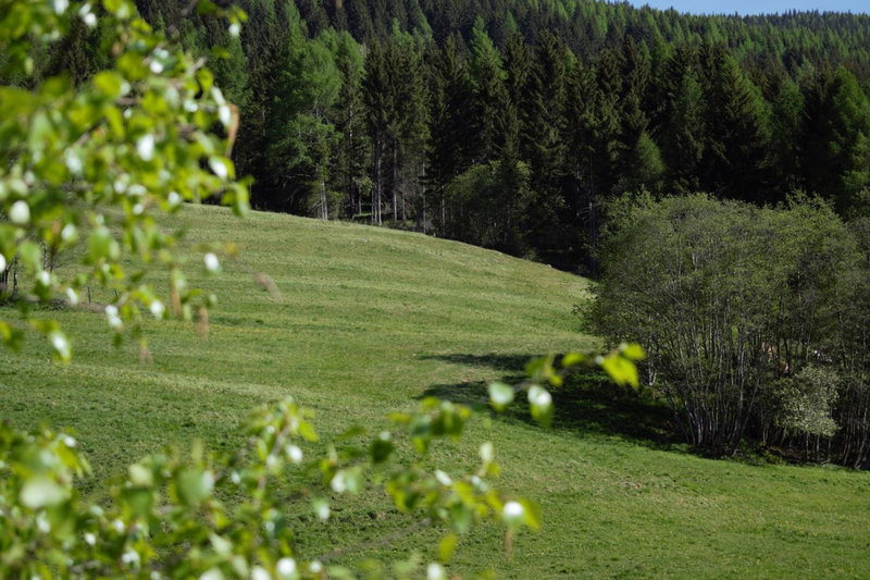 Landhaus Holzer, Sankt Margarethen im Lungau, Austria