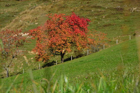 BERGapart Götschl Rettenschöss, Rettenschöss, Austria