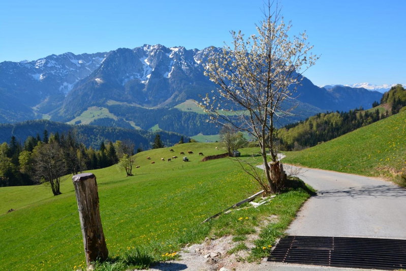 BERGapart Götschl Rettenschöss, Rettenschöss, Austria