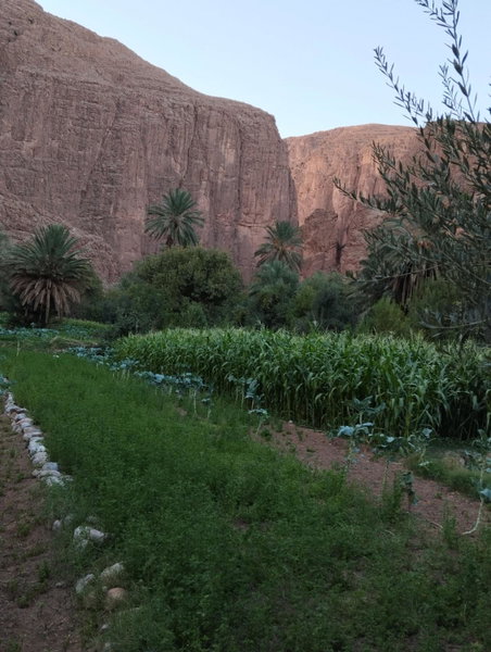 Riad La Fleur, Aït Baha, Morocco