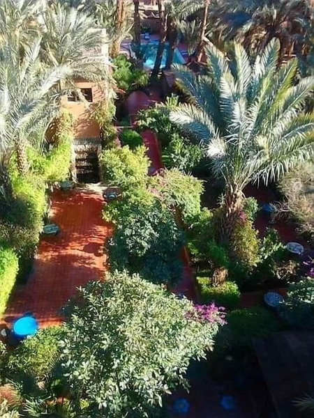 Auberge Chez Ali, Zagora, Morocco