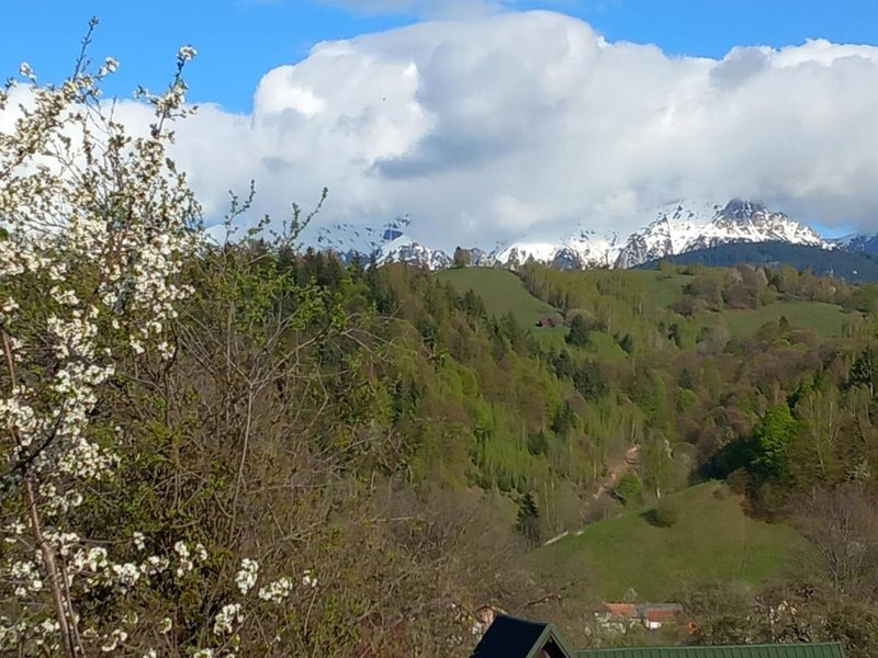 Pensiunea Brian, Moieciu de Jos, Romania