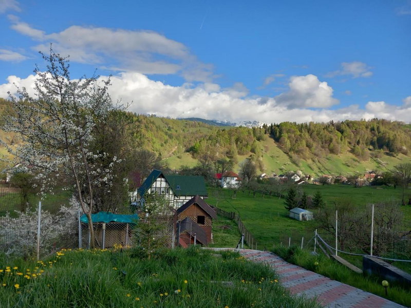 Pensiunea Brian, Moieciu de Jos, Romania