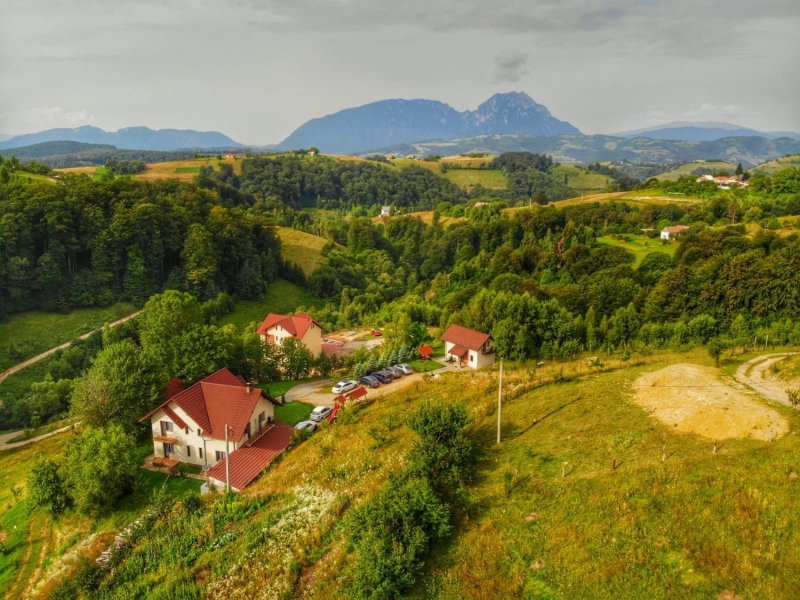 Pensiunea 7 Brazi II, Poiana Mărului, Romania