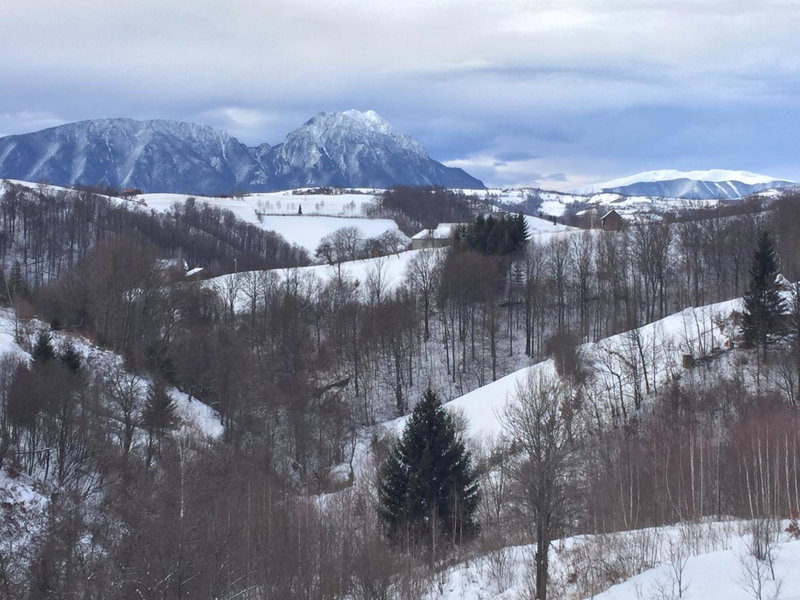 Pensiunea 7 Brazi II, Poiana Mărului, Romania