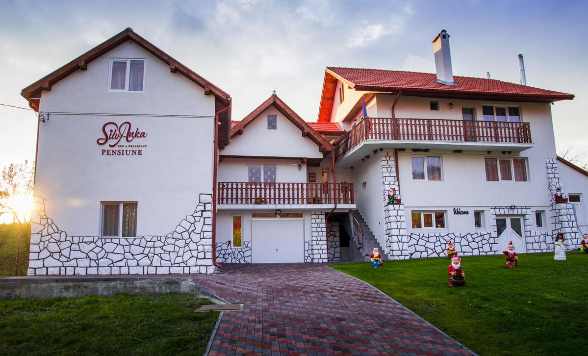 Hotel · Pensiunea SilvAnka, Vîlcele