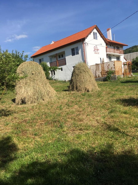 Pensiunea SilvAnka, Vîlcele, Romania