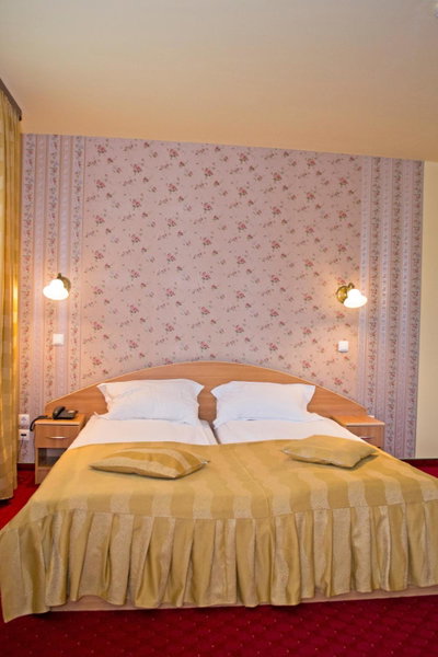Hotel Xemar, Arad, Romania