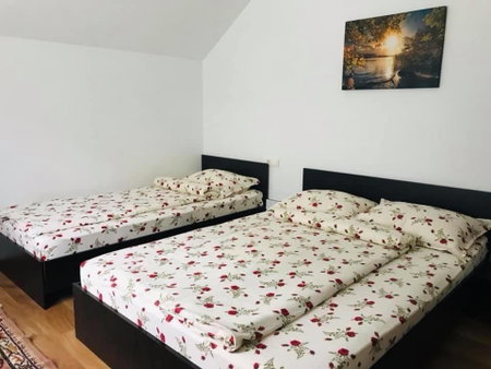 Casa de vacanta Dana, Şugag, Romania