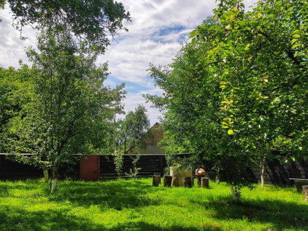 La Bunu Nic, Porumbacu de Sus, Romania