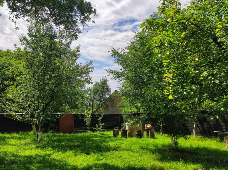 La Bunu Nic, Porumbacu de Sus, Romania