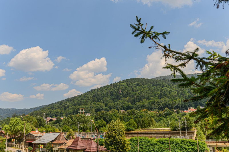 Blend Mountain Villa, Buşteni, Romania