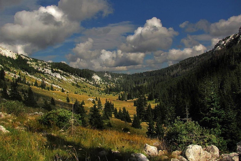 Bivium, Otočac, Croatia