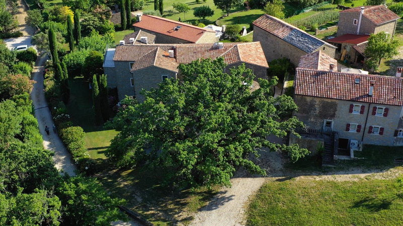 L'Abbraccio della Quercia - Apartments, Momjan, Croatia