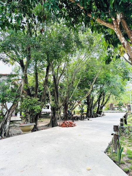 Hang Sói Forest Village, Xuyen Moc, Vietnam
