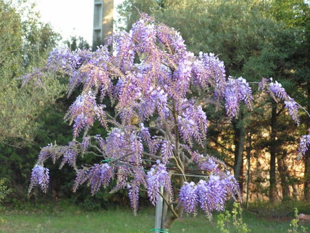 Le Jardin des Selves, Draguignan, France