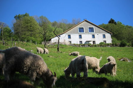 La Ferme sous les Hiez, Cornimont, France