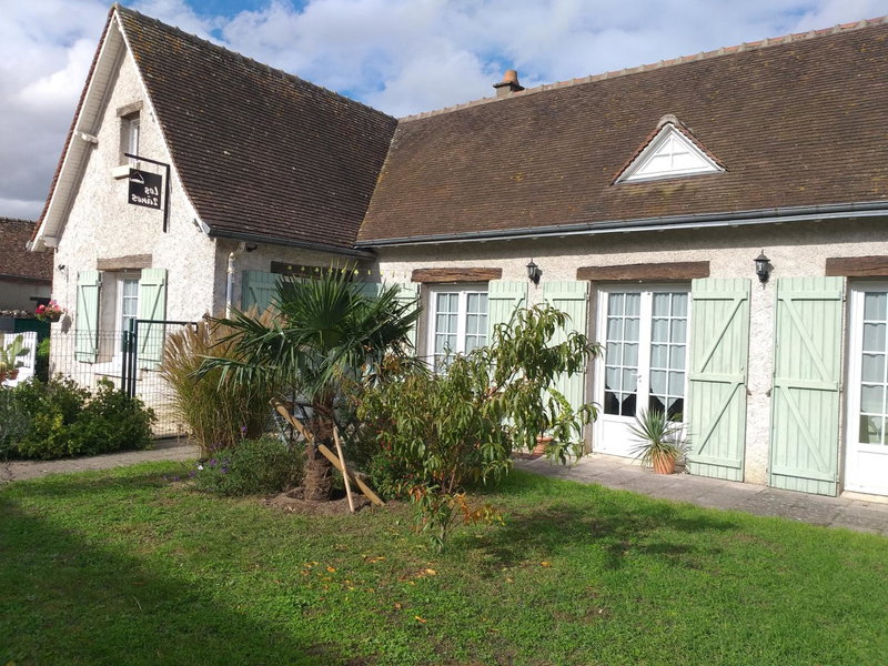 Les deux anes, Veuves, France