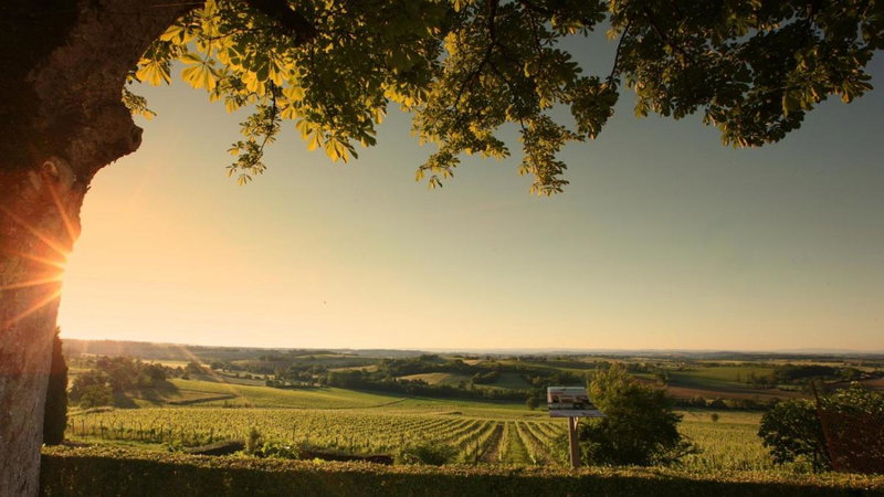 Domaine de La Monestarié, Bernac, France