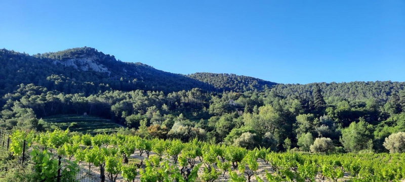 Au Soleil du Bonheur, Lafare, France