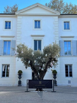 Le Saint Remy, St.-Rémy-de-Provence, France
