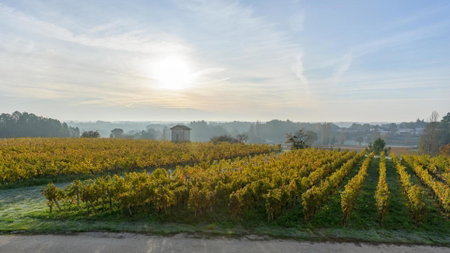 Les Raisins du Bonheur, Puisseguin, France