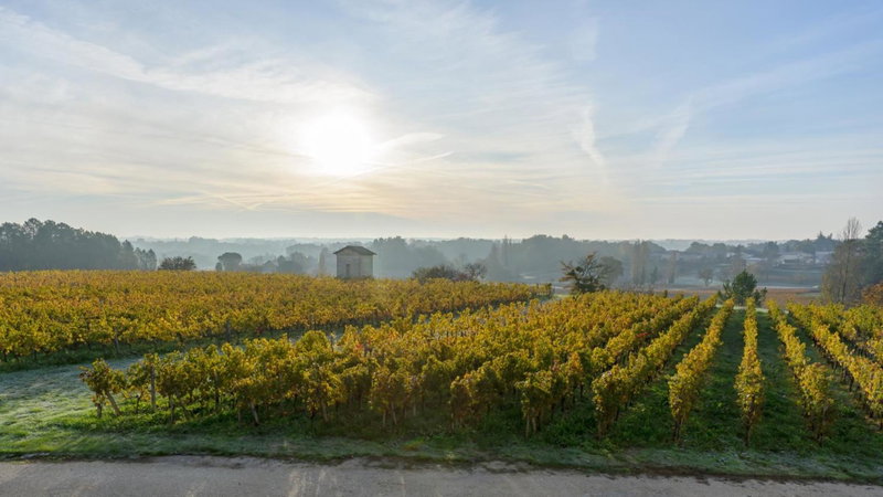 Les Raisins du Bonheur, Puisseguin, France