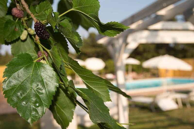 Sicily Country House & Beach, Catania, Italy