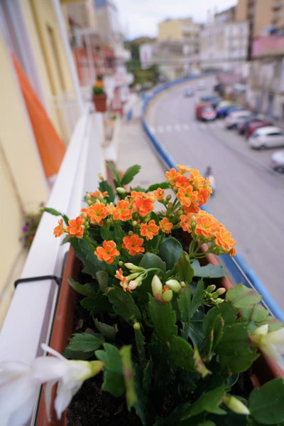 B&B Nodo Francescano, Porto Empedocle, Italy