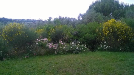 Il Melograno Country House, Saturnia, Italy