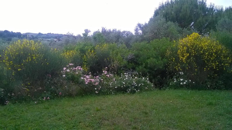 Il Melograno Country House, Saturnia, Italy