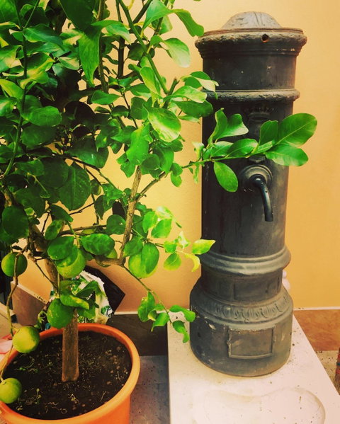 CIVICO 7 Holiday Rooms, Rome, Italy