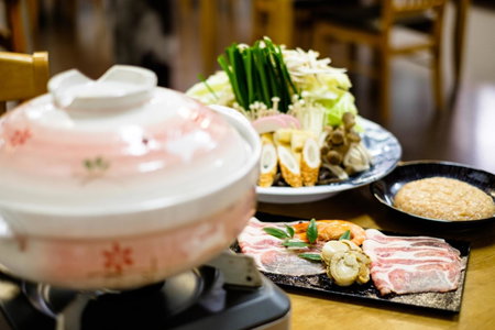 Hiyoshi Forest Resort Yamanoie, Nantan city, Japan