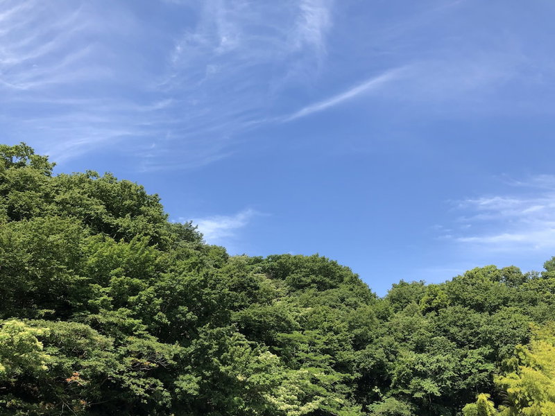 Hotel Gendairakuen Isehara - Adults Only, Isehara, Japan
