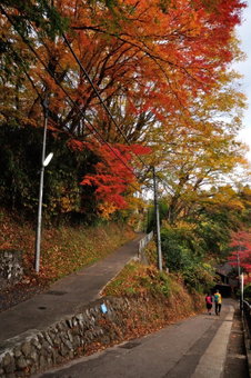 Okutamaji, Ome, Japan