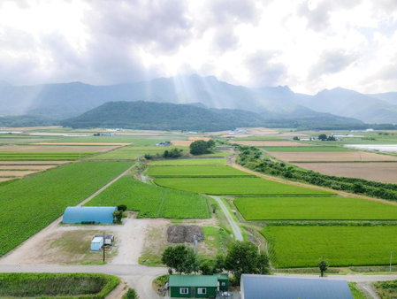 Furano Log House Farm Resort, Furano, Japan