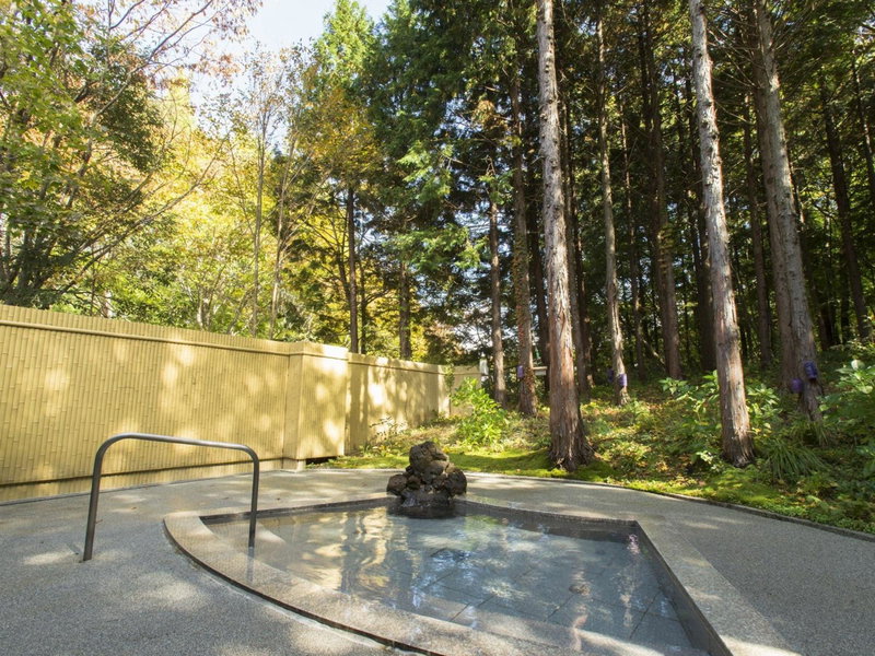 Blue Ridge Hotel, Toyooka, Japan