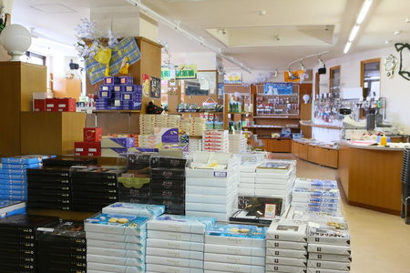 Shiga Lake Hotel, Yamanouchi, Japan
