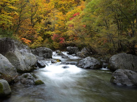 Ishinoyu Lodge, Yamanouchi, Japan