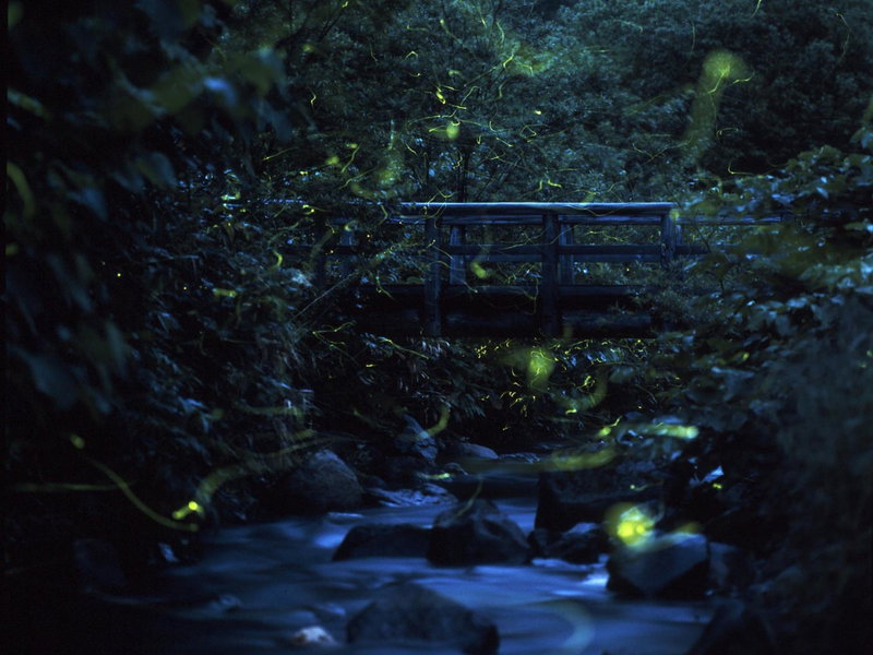 Ishinoyu Lodge, Yamanouchi, Japan