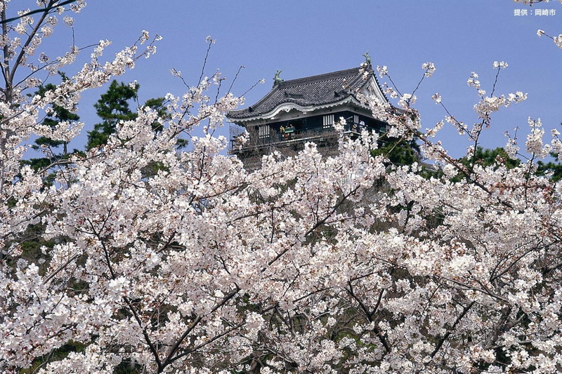 Hotel Waltz Okazaki (Adult Only), Okazaki, Japan