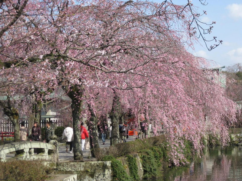 Izu Daisenya, Izunokuni, Japan