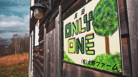 Guest House ONLY ONE, Niseko, Japan