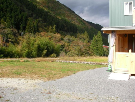 Gujo Cottage Ryukobashi no Hotori - Vacation STAY 88697v, Gujo, Japan